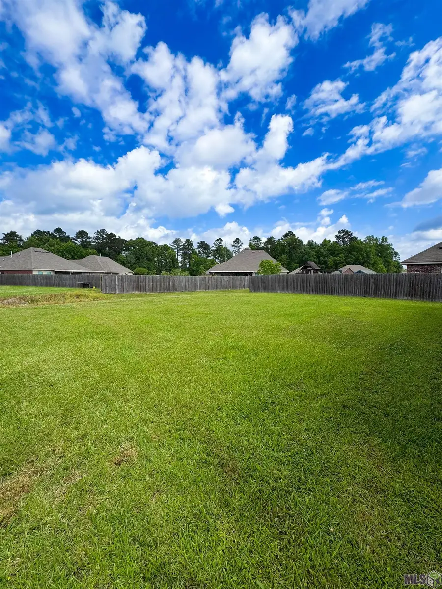 23189 Mango Dr, Denham Springs, LA 70726 - #3