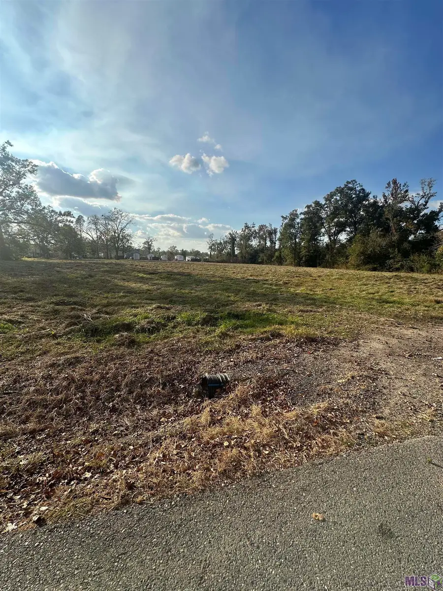 8407 Pertuis Rd, Saint Amant, LA 70774 - #3