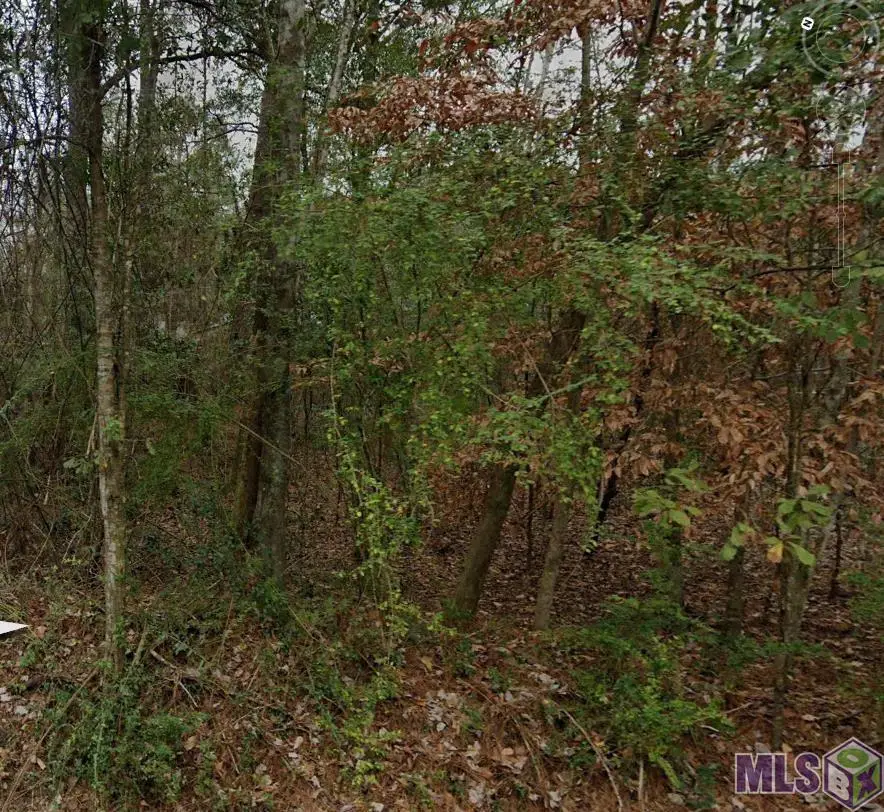 71 Gamma Ave, Covington, LA 70435 - #1