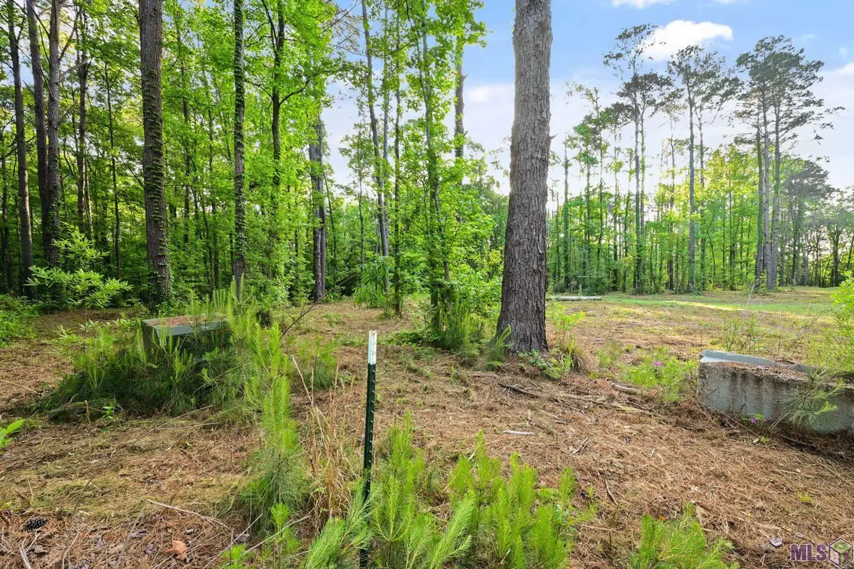 TBD Old Laurel Hill Rd, Saint Francisville, LA 70775 - #1