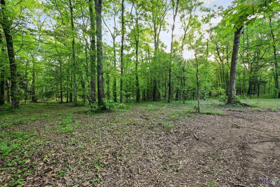 TBD Old Laurel Hill Rd, Saint Francisville, LA 70775 - #3