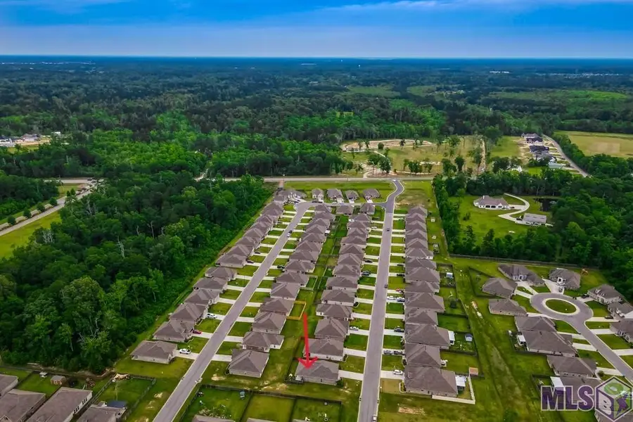 8897 Dalwood Dr, Denham Springs, LA 70726 - #2