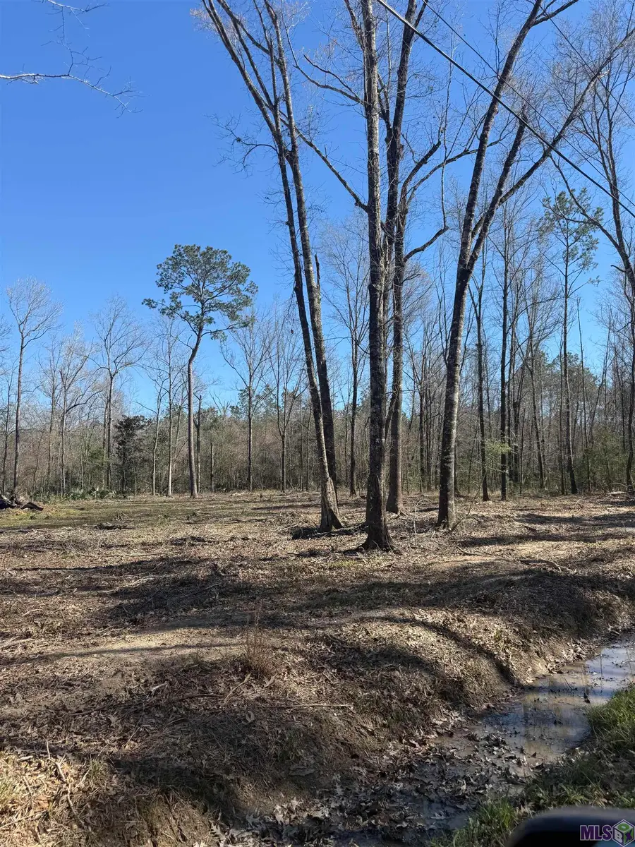 Lot 4 Music Ln, Springfield, LA 70462 - #3