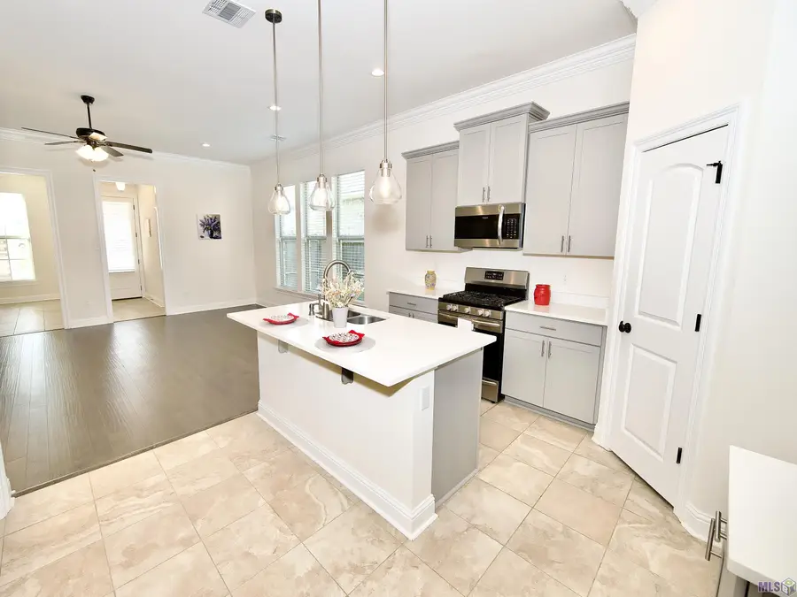 17065 White Ibis Ave, Prairieville, LA 70769 - #2