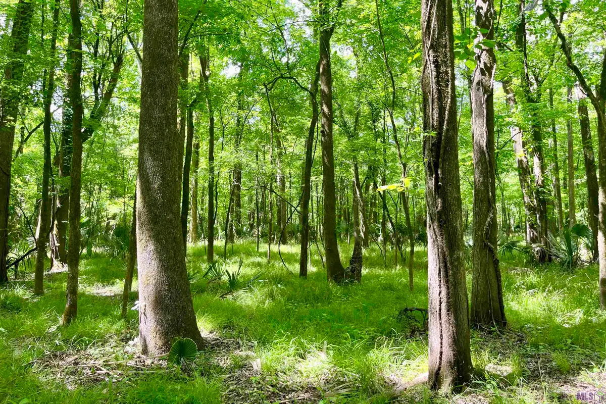 05 La Hwy 74, Saint Gabriel, LA 70776 - #1