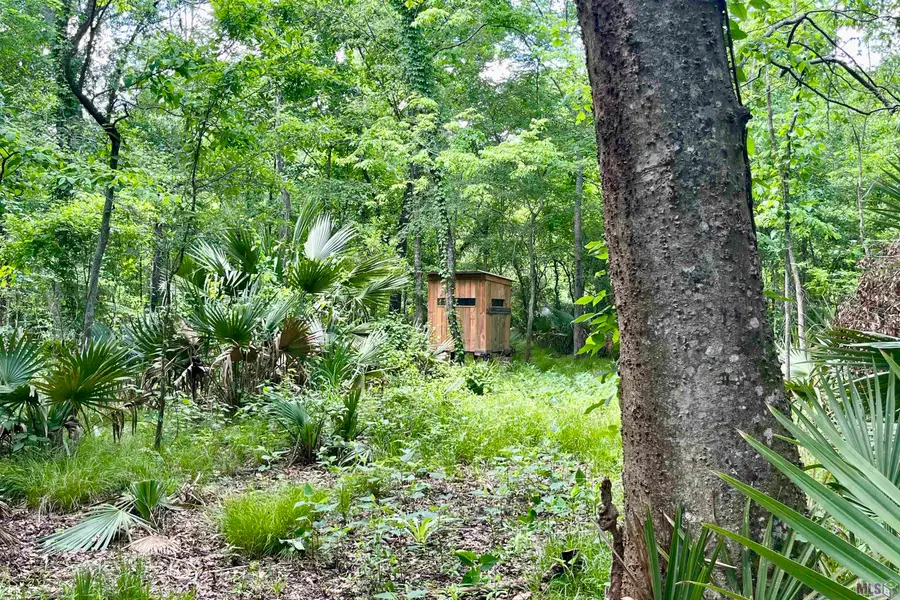 05 La Hwy 74, Saint Gabriel, LA 70776 - #3