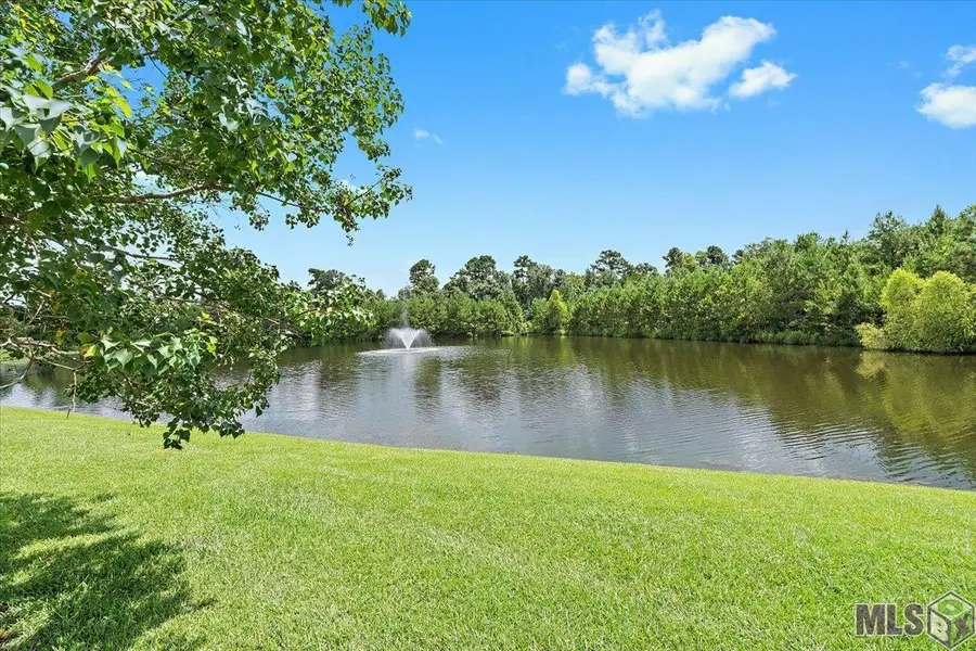 26222 Avoyelles Ave, Denham Springs, LA 70726 - #3