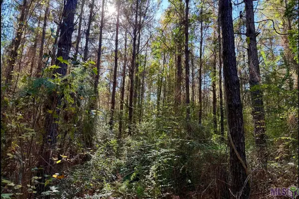 25 Bobcat Lane, Amite, LA 70442