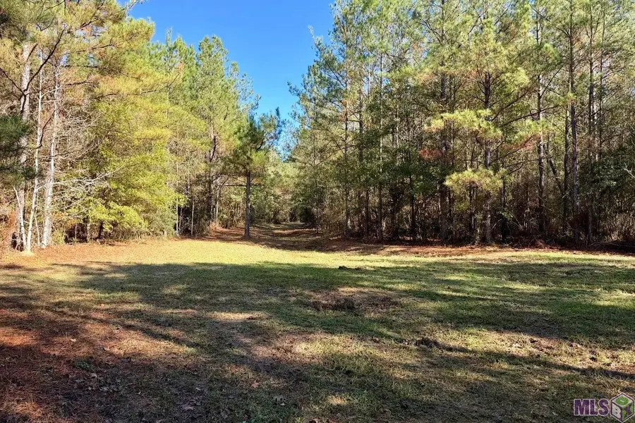 25 Bobcat Lane, Amite, LA 70442 - #3