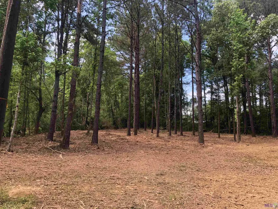 TBD Hatfield Ln, Jackson, LA 70748 - #2