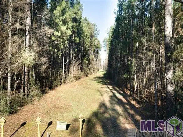 tract V-4 Jim Price Rd, Greenwell Springs, LA 70739