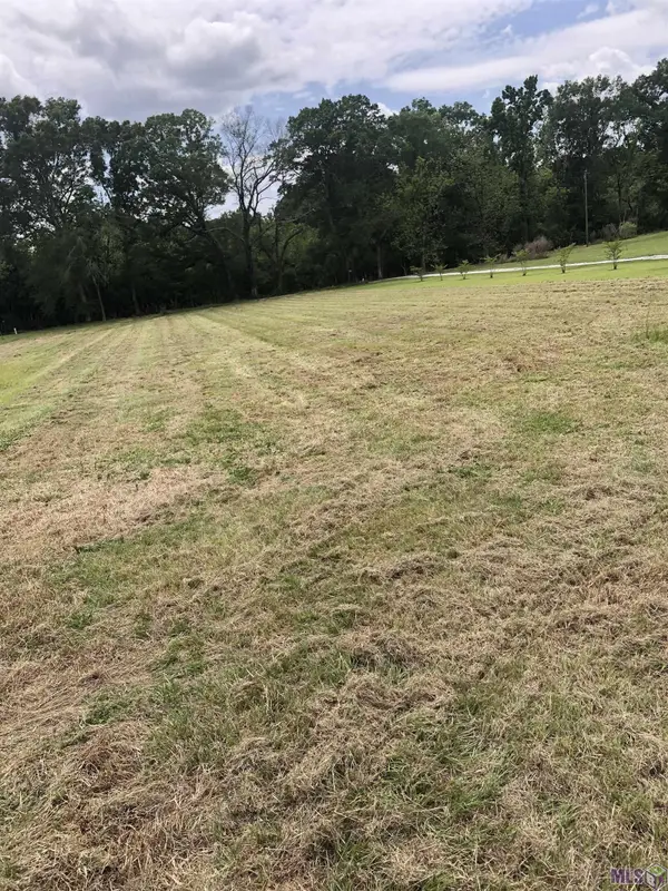 8736 Patterson Cemetery Ln, Slaughter, LA 70777