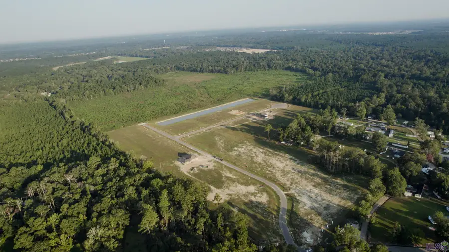 13503 Eagles Park Drive, Denham Springs, LA 70726 - #2