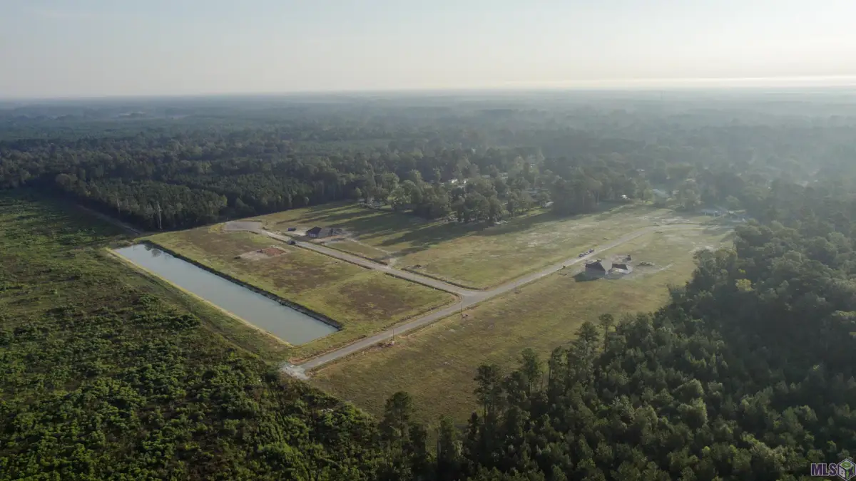 13509 Eagles Park Drive, Denham Springs, LA 70726 - #1