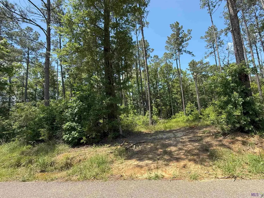 14856 Pace Rd, Clinton, LA 70722 - #2