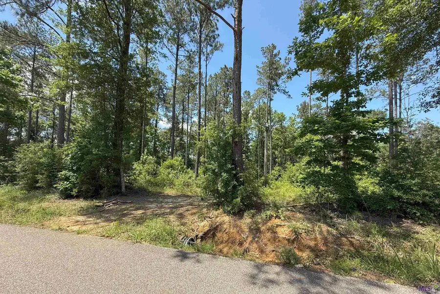 14856 Pace Rd, Clinton, LA 70722 - #3