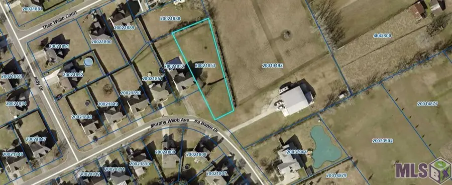 18096 Ira Babin, Prairieville, LA 70769 - #2