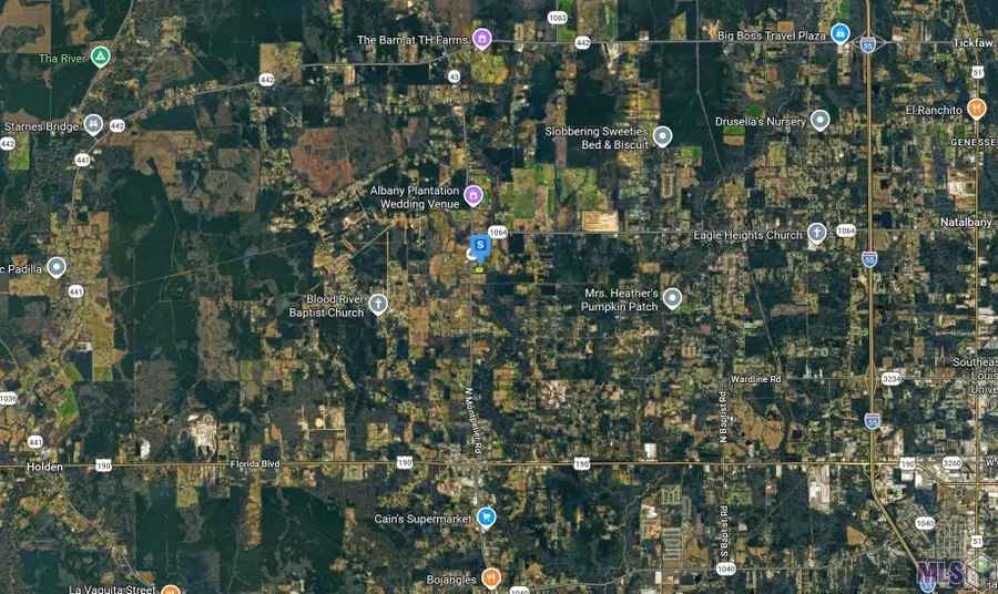 45355 Durbin Road Ext, Albany, LA 70711 - #3