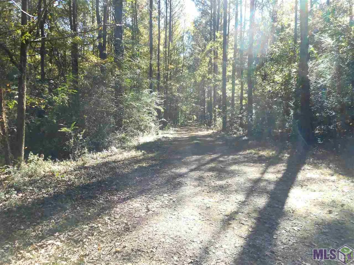 7430-C Lane Rd, Ethel, LA 70730 - #1