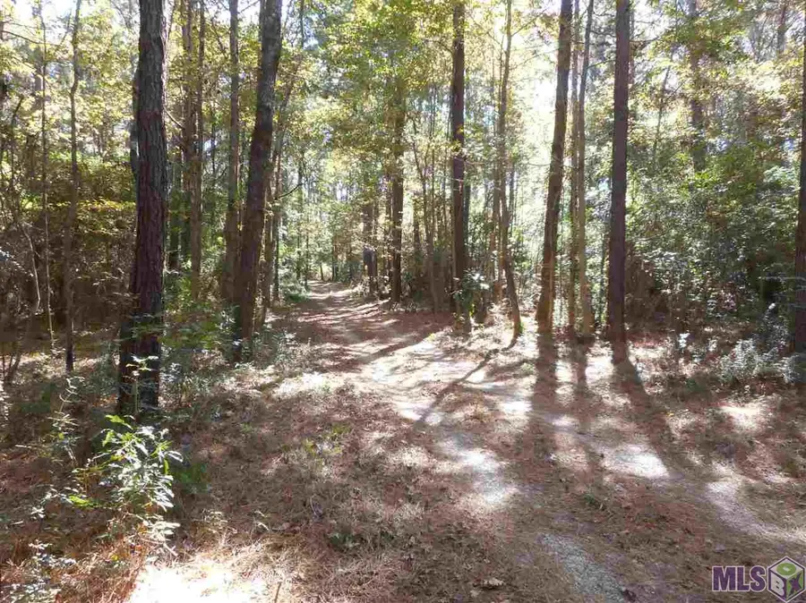 7430-C Lane Rd, Ethel, LA 70730 - #2