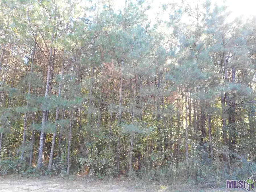 7430-C Lane Rd, Ethel, LA 70730 - #3