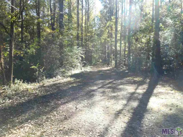 7430-D Lane Rd, Ethel, LA 70730