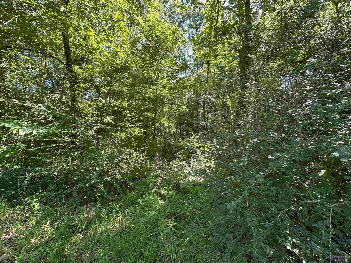 16051 Pride Port Hudson Rd, Pride, LA 70770 - #1