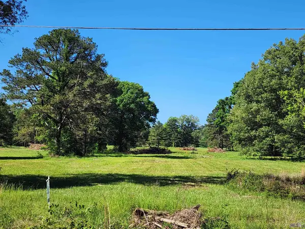 tbd La Hwy 956, Ethel, LA 70730
