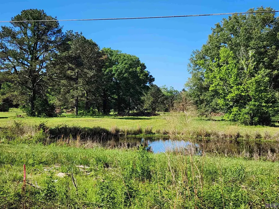 tbd La Hwy 956, Ethel, LA 70730 - #3