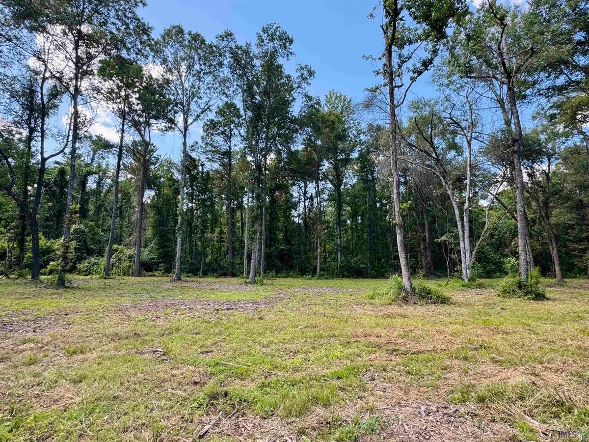 RS-2 La Hwy 16, Denham Springs, LA 70706 - #1
