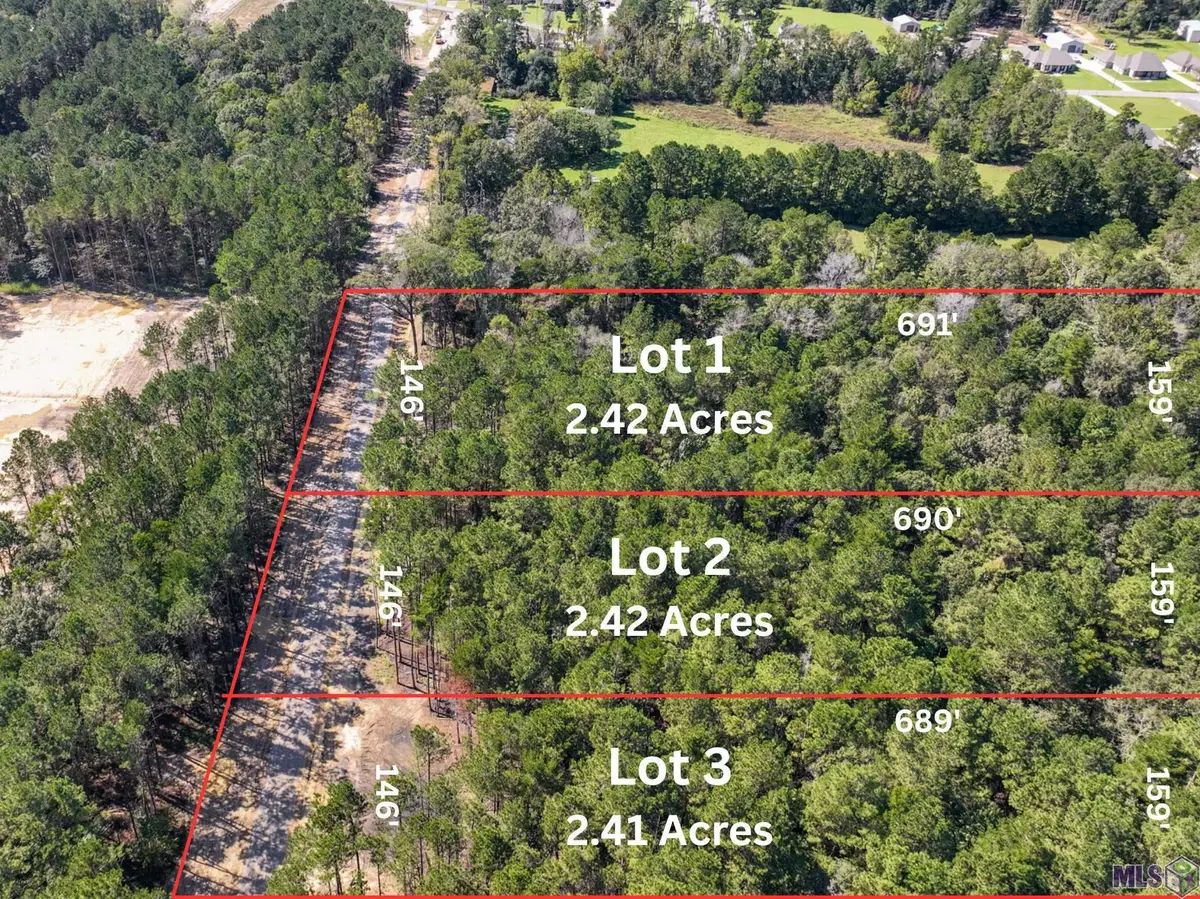 34766 Clinton Allen Rd, Denham Springs, LA 70706 - #1