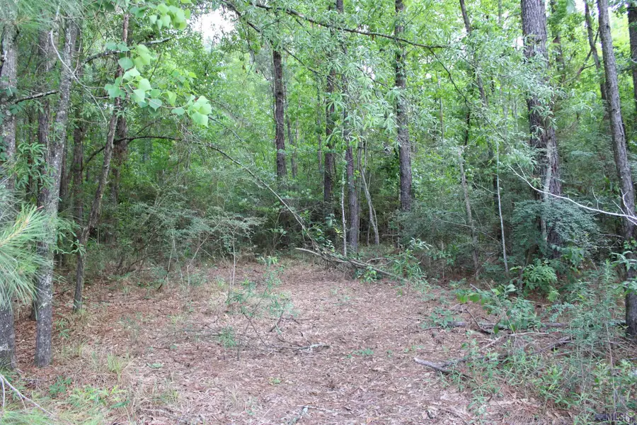 TBD Carpenters Landing Rd, Hammond, LA 70454 - #3