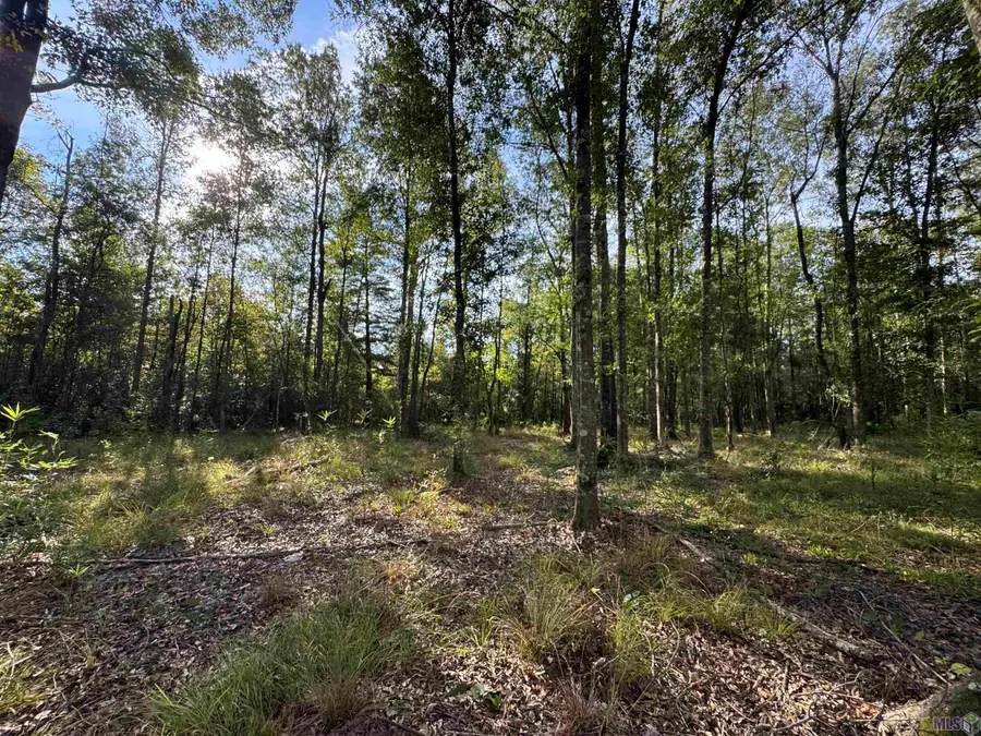 SF-14 La Hwy 16, Denham Springs, LA 70706 - #3