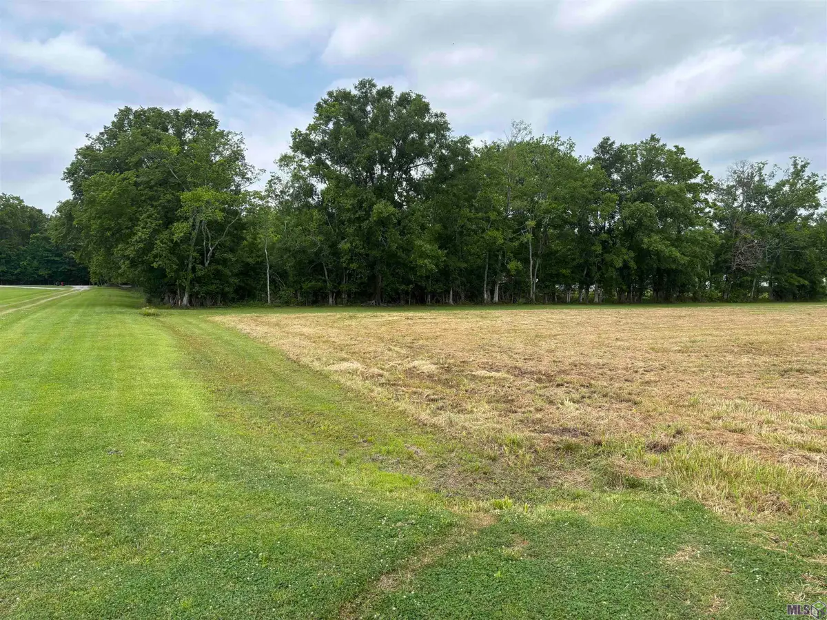 NEAR - 9394 Reine Rd, Saint Amant, LA 70774 - #1