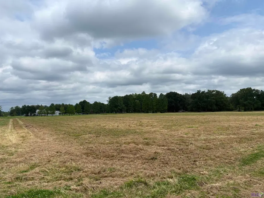 NEAR - 9394 Reine Rd, Saint Amant, LA 70774 - #3