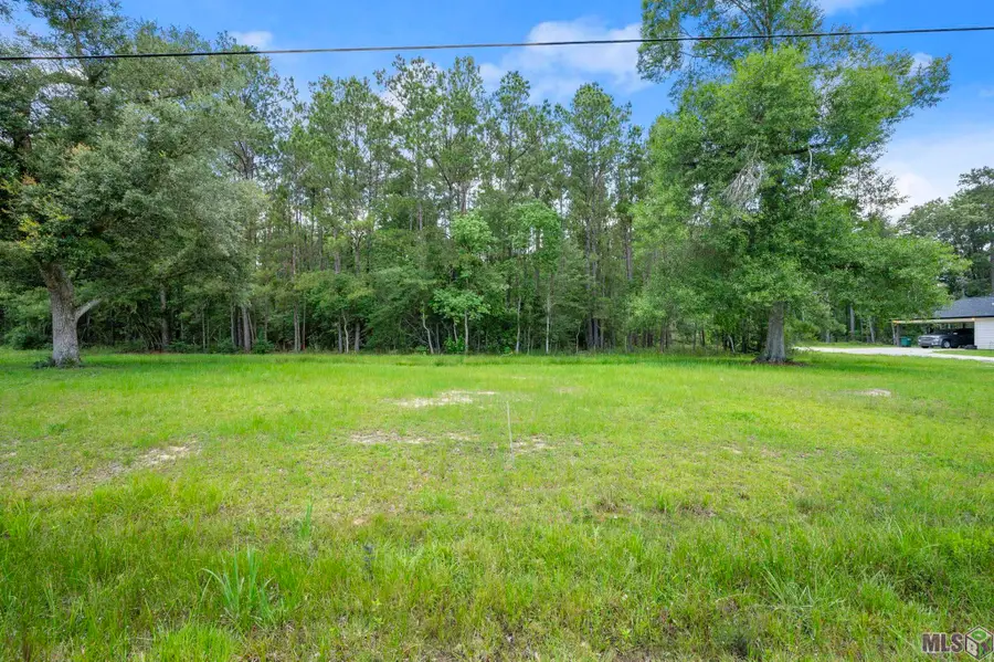 TBD Lot 80 Riverside Rd, Springfield, LA 70462 - #2