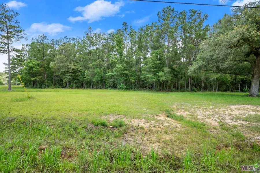 TBD Lot 81 Riverside Rd, Springfield, LA 70462 - #2