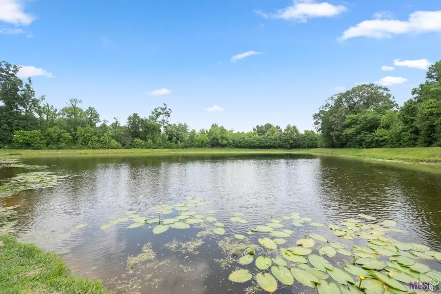 7728 Amite Springs Dr, Denham Springs, LA 70726 - #2
