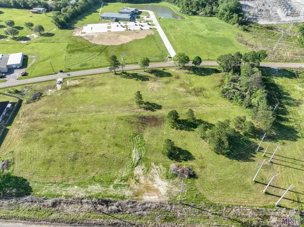 11545 Burgess Ave, Walker, LA 70785