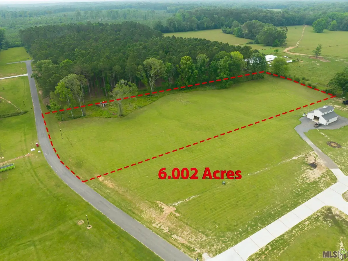 90110 Basil Ln, Saint Francisville, LA 70775 - #1