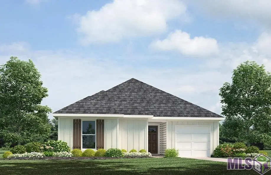 24752 Berry Ridge Lane, Springfield, LA 70462 - #1