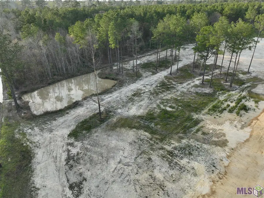 29581 George White Rd, Holden, LA 70744 - #2