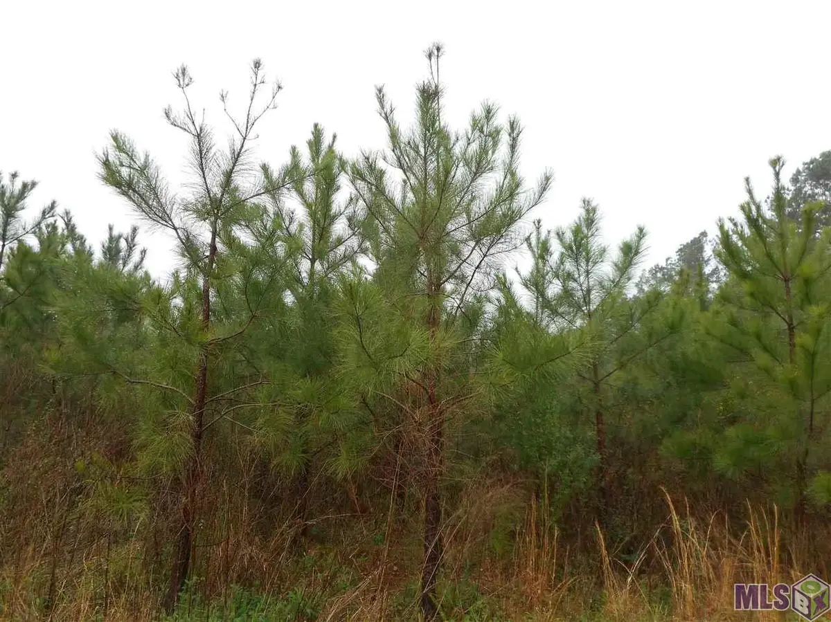 TBD Mccoy Byrnes Rd, Ethel, LA 70730 - #1