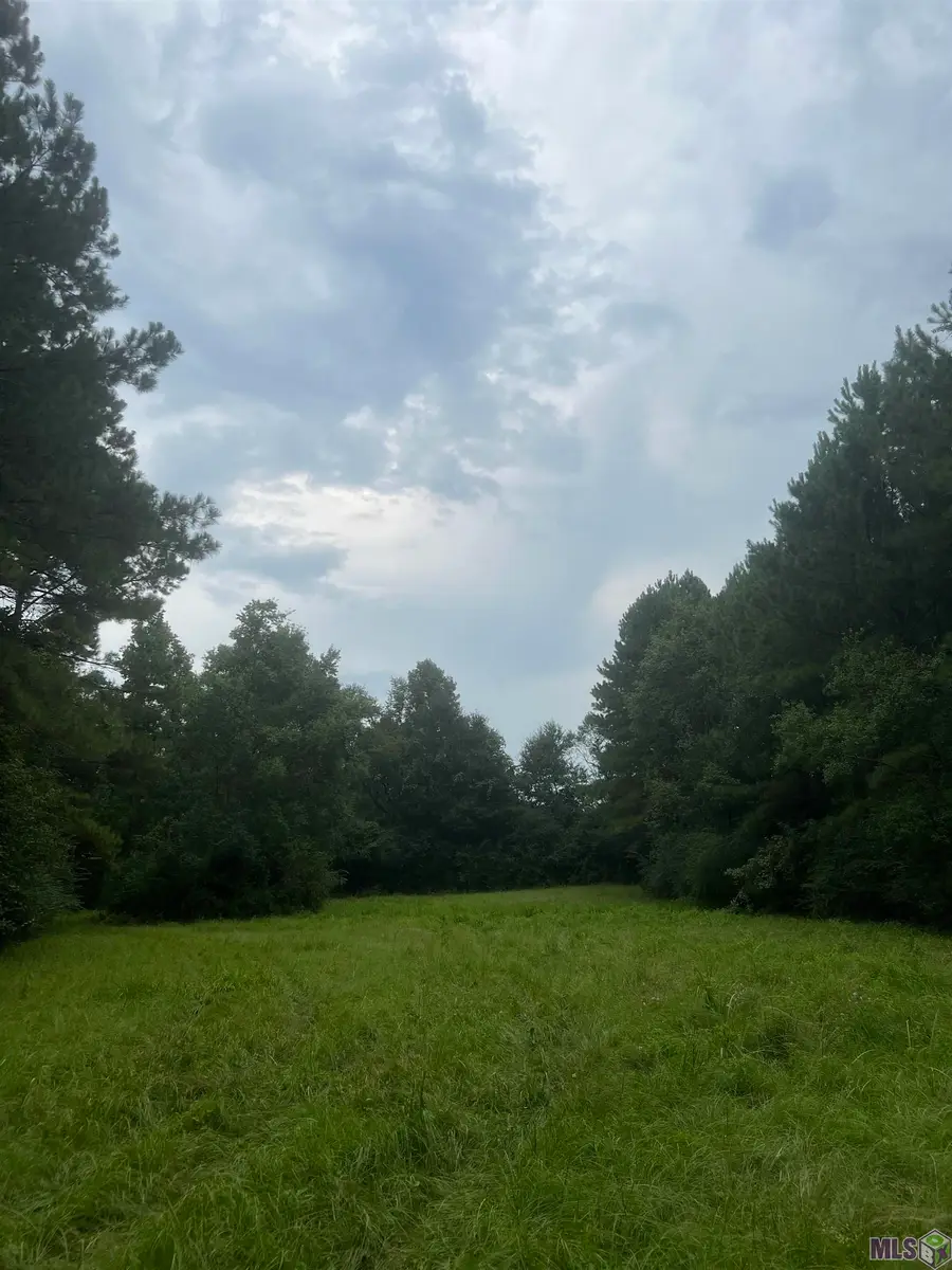 TBD Mccoy Byrnes Rd, Ethel, LA 70730 - #2
