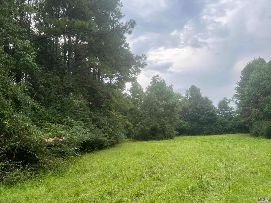 TBD Mccoy Byrnes Rd, Ethel, LA 70730 - #3