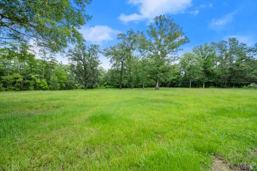 TBD HB-3-A Bretz Rd, Springfield, LA 70462 - #2