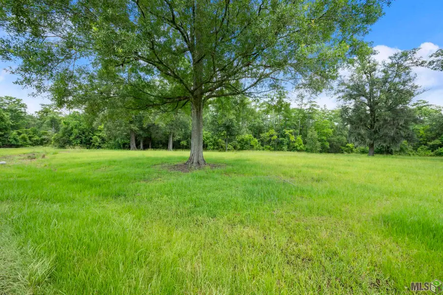 TBD HB-3-A Bretz Rd, Springfield, LA 70462 - #3
