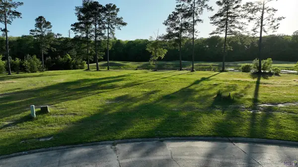 23282 Noble Oak Dr, Springfield, LA 70462