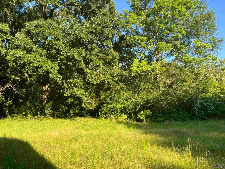 8454 La Hwy 961, Clinton, LA 70722 - #3