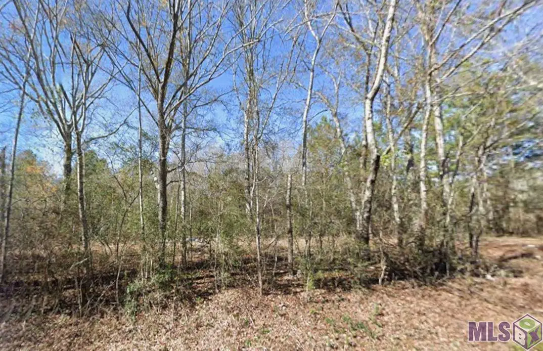 Sam Thomas Road, Franklinton, LA 70438 - #1